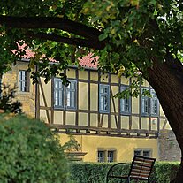 Fachwerkhaus hinter der Linde