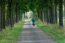 Gaby auf Radweg bei Schengen