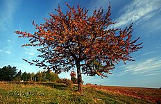 Annaberg bei Neurode Annaberg bei Neurode