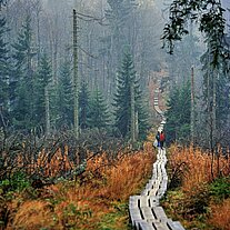 auf dem Holzweg zum Waldhäuserriegel