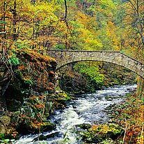 Brücke über die Bode
