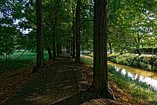 Radweg Allee Radweg Allee
