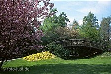 japanische Holzbrücke japanische Holzbrücke