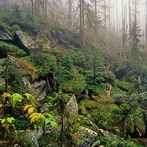 an den Teufelslöchern