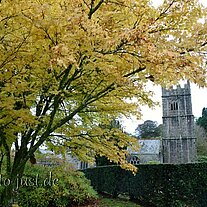Kirche mit Herbstbaum