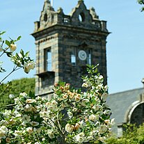 Turm der Seigneurie mit Hopfenblüten