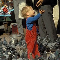 Kind und Tauben