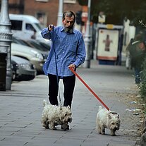 bärtiger Ire führt seine Pudel aus