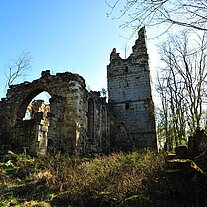 Gesamtansicht Ruine der Kirche von Pappenberg