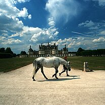 Mädchen führt ein Pferd vor dem Schloss