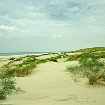 Stranddünen