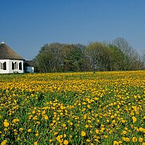 Kapelle von Vitt mit Wiese