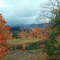 Herbst bei Silberberg