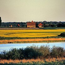 am See von Rittermannshagen