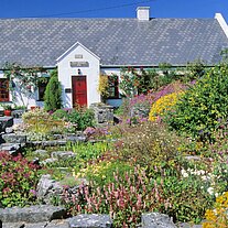 Garten mit Haus