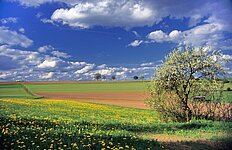 Nachmittag bei Pichlberg