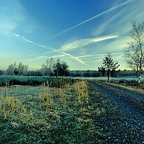 Morgennebel im Truppenübungsplatz