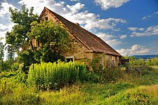 Die Natur holt sich alles wieder