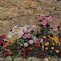 Blumenpracht mit Granitmauer