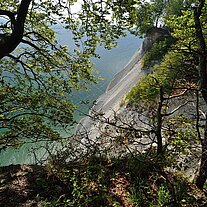 Die Kippen von Møn (Møns Klint)