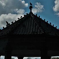 Pavillon mit Tauben Silhouette
