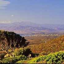 Blick in die Bucht von Olbia