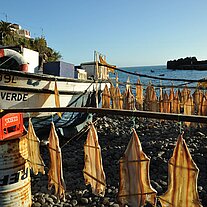 Stockfisch beim Trocknen