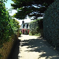 Straße auf Little Sark