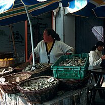 Austernverkäuferin