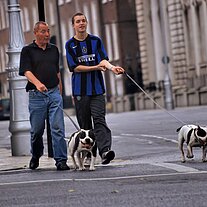 Zwei Iren führen Ihre Pitbulls aus