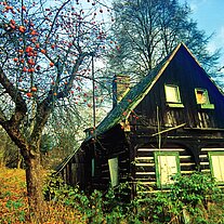 Holzhaus Umgebindehaus in Jetrichovice