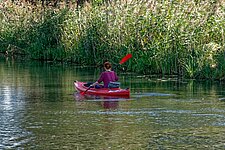 Paddlerin auf Spreekanal