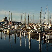 Yachthafen von Faaborg