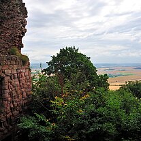 Die Rothenburg mit Blick in die goldene Aue