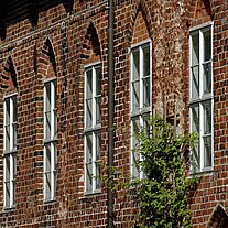Fensterreihe am Klostergebäude